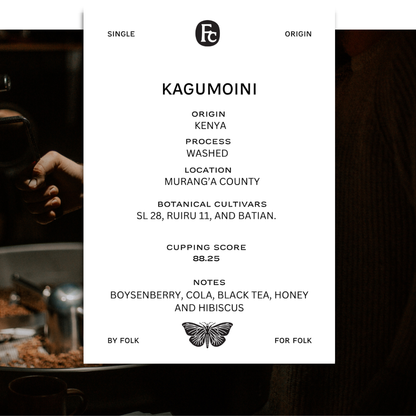 Kenya - KAGUMOINI AA
