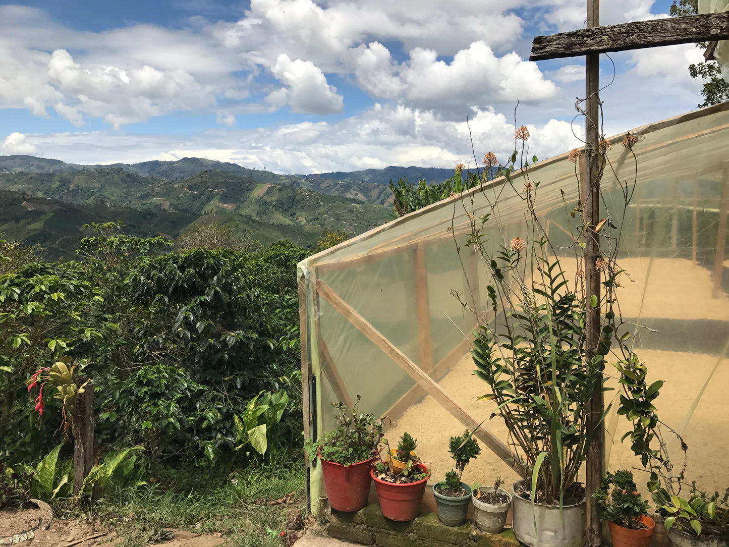 Colombia-Santa Monica