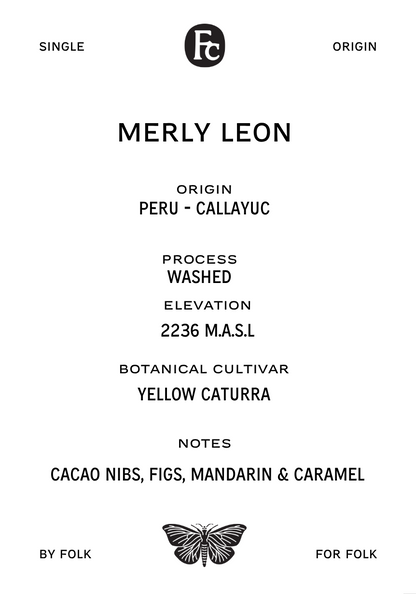 MERLY LEON - YELLOW CATURRA